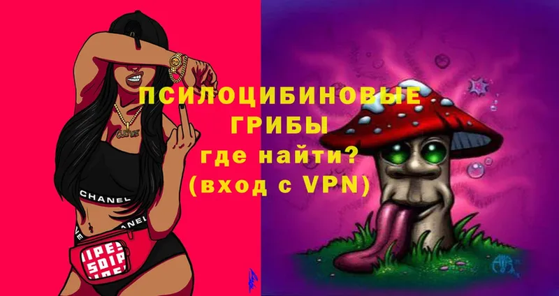 Псилоцибиновые грибы Magic Shrooms  цены   kraken как войти  Владикавказ 